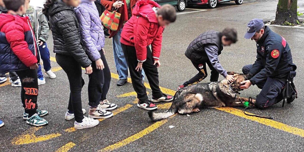 “Cultura della legalità”: gli studenti in visita alla Caserma dei Carabinieri gavesi, dove hanno potuto conoscere cani e conduttori di un’unità cinofila dell’Arma.