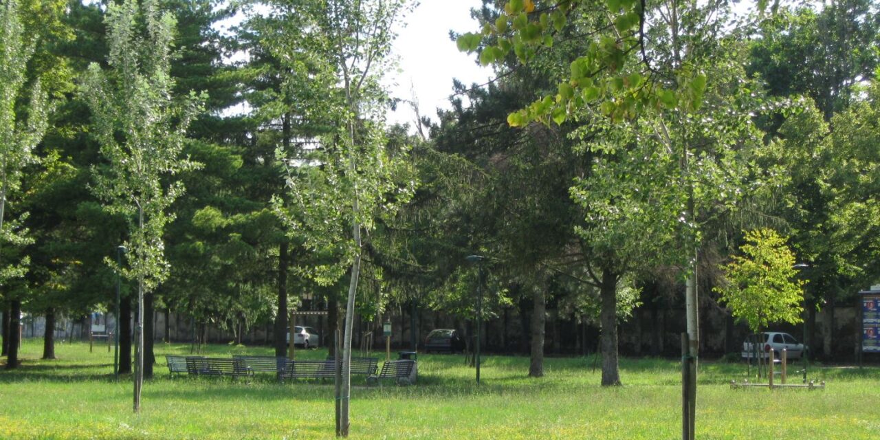Domenica prossima, Novi Ligure celebra la Giornata dell’Albero al Parco Euronovi