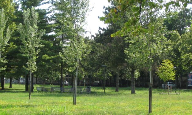Allarme Popillia japonica in provincia di Alessandria: 121 Comuni colpiti e colture a rischio
