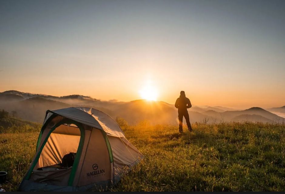 Attrezzatura per il tree climbing: cosa serve davvero per lavorare in sicurezza sugli alberi