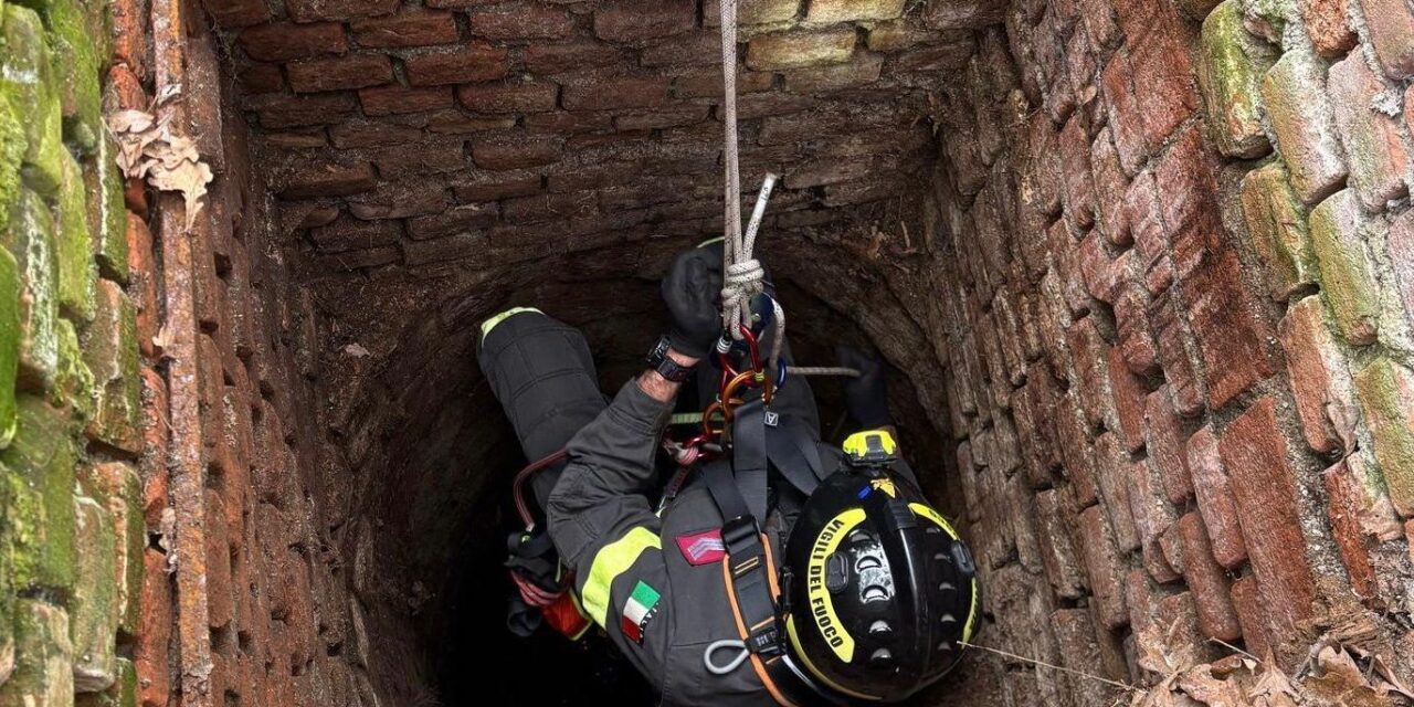 Cane salvato dai pompieri a Quargnento