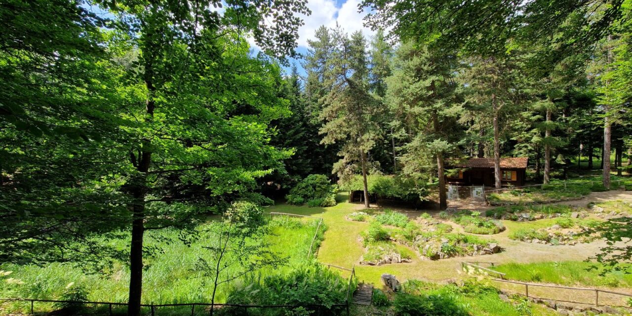 Riapre il Giardino Botanico di Pietra Corva con una nuova immagine e un ricchissimo programma di conferenze