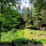 Riapre il Giardino Botanico di Pietra Corva con una nuova immagine e un ricchissimo programma di conferenze