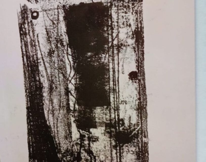 Domenica ad Alessandria si inaugura la mostra di Davide Minetti