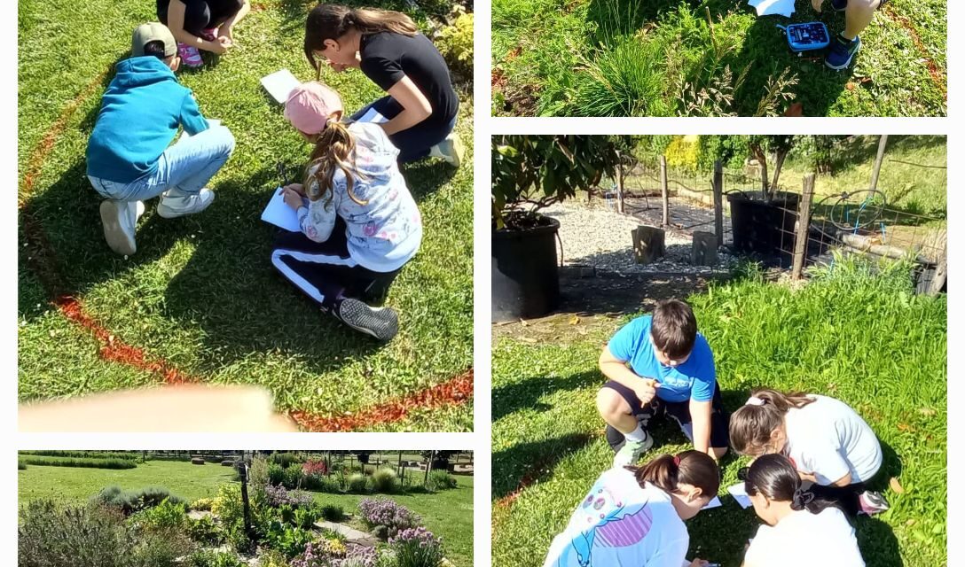 La scuola Tortona B ringrazia i Lions  promotori del progetto “Alla scoperta della diversità”