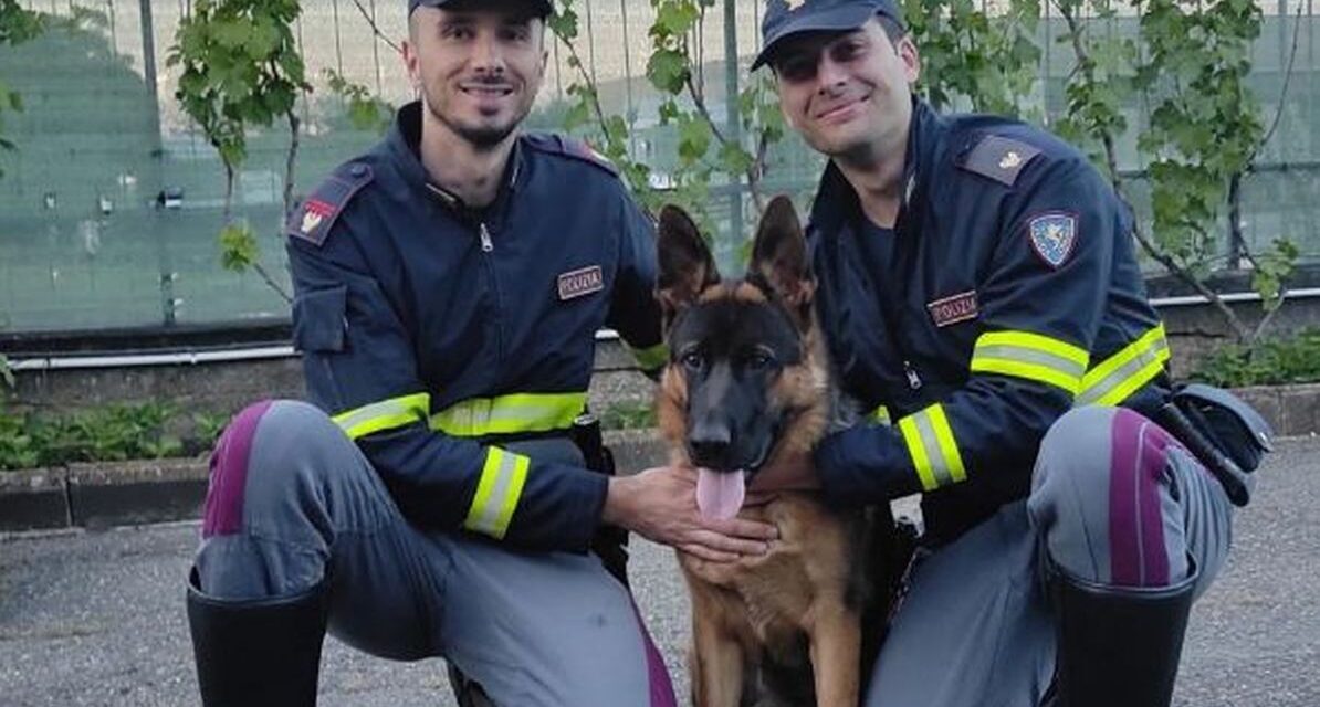 A Tortona la Polizia stradale ritrova Oscar scappato dalla casa del suo padrone alla periferia della città