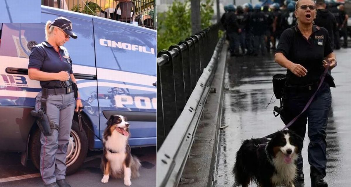 Tortona, è morto Night Spirit, il cane che con la poliziotta tortonese Laura Bisio aveva salvato 6 persone