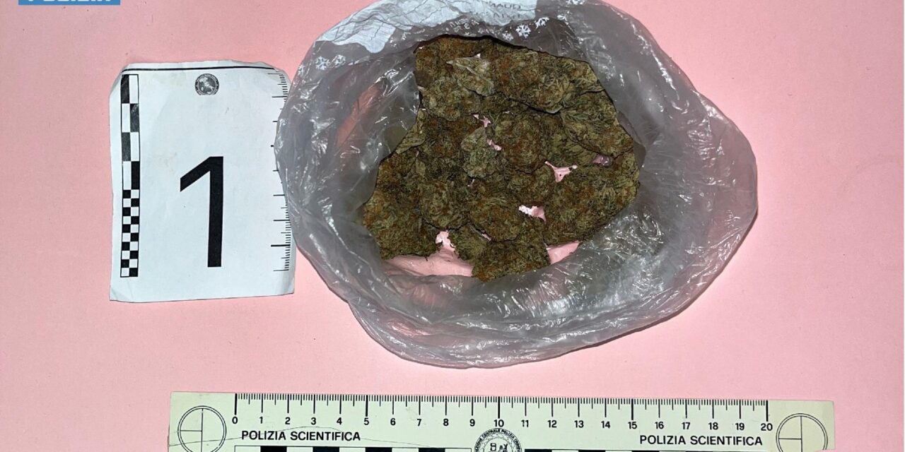 La Polizia Stradale di Alessandria ferma un automobilista sotto l’effetto e in possesso di marijuana
