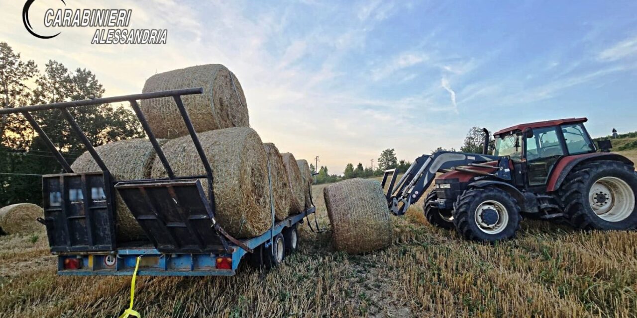 Infortunio sul lavoro a Rosignano Monferrato: morto un 43enne. Indagini dei Carabinieri e dello SPRESAL.