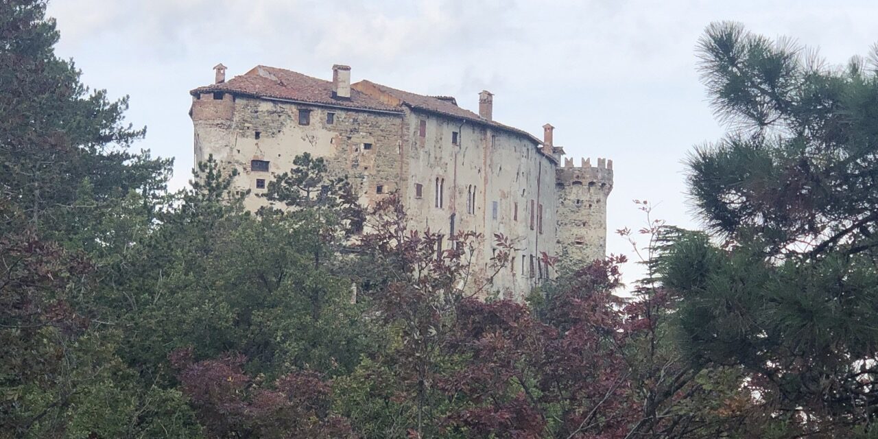 Domenica si va alla scoperta della pineta di Mornese