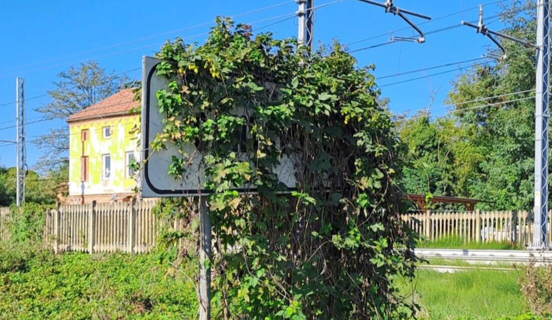 Un indovinello difficile: sapete dire dove ci troviamo? Così un cartello all’ingresso di una località, ma quale?