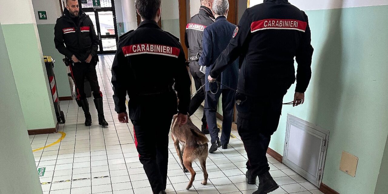 I carabinieri coi cani antidroga nelle scuole superiori di Tortona