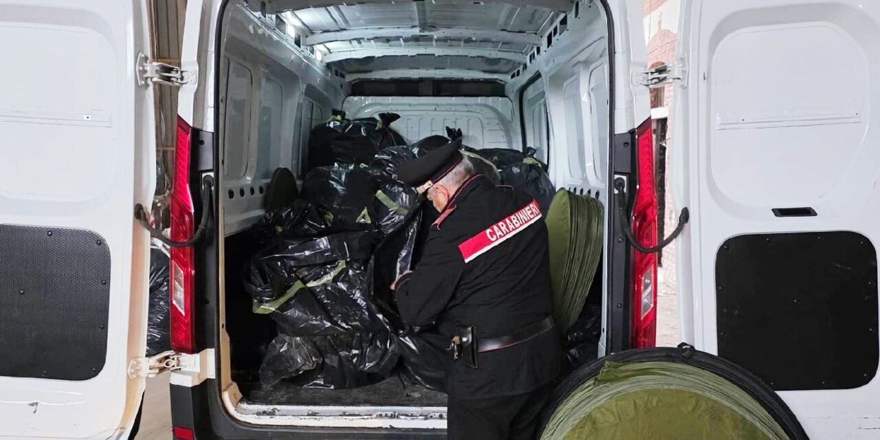 Blitz dei Carabinieri nel casalese: tre arresti e oltre 400 chili di marijuana sequestrati in una cascina