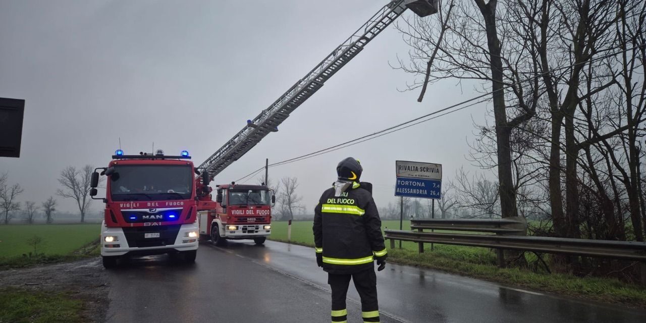 Albero pericolante a Tortona, statale chiusa e pompieri che lo rimuovono