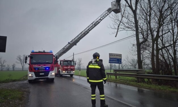 Albero pericolante a Tortona, statale chiusa e pompieri che lo rimuovono