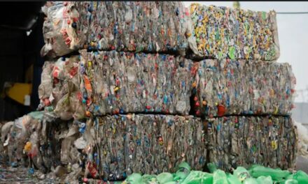 Le presse per rifiuti JumboLoadBaler, AutoLoadBaler e BaleTainer: soluzioni ideali per logistiche e supermercati