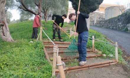 Progetto Erasmus a Cervo: per il sesto anno studenti francesi impegnati nella riqualificazione del verde. 
