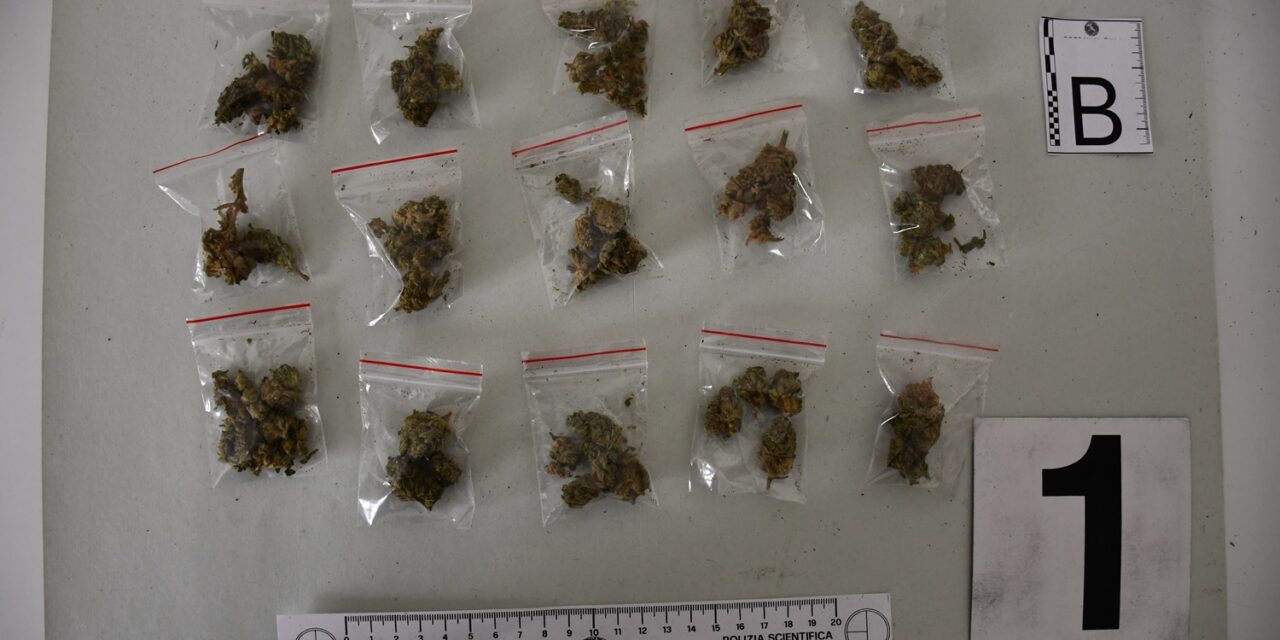 La Polizia di Alessandria esegue perquisizioni nei confronti di 10 nigeriani e trova…..