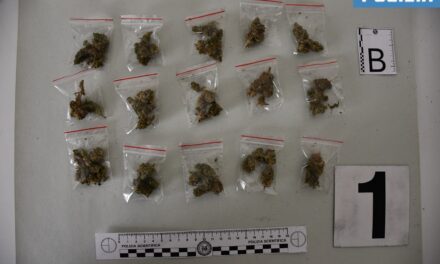 La Polizia di Alessandria esegue perquisizioni nei confronti di 10 nigeriani e trova…..