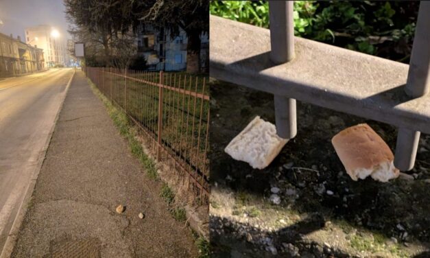 A Tortona pane abbandonato vicino al parco giochi: sono bocconi avvelenati? Rimossi dalla gente