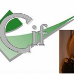 Giovedì alla Biblioteca di Alessandria Rosa Mazzarello del CIF consegna il Premio “Donne eccellenti”