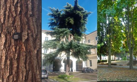 Bella iniziativa del Comune di Tortona che censisce tutti i circa 5 mila alberi presenti sul territorio