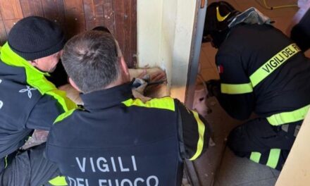 I pompieri di Tortona salvano questo cane da morte certa: aveva la testa incastrata in una bocchetta di areazione