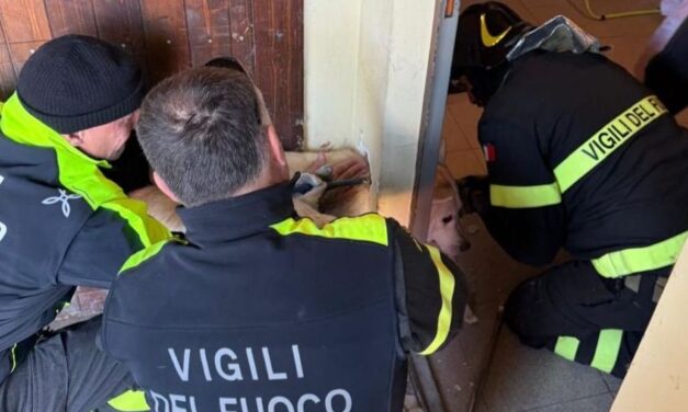 I pompieri di Tortona salvano questo cane da morte certa: aveva la testa incastrata in una bocchetta di areazione