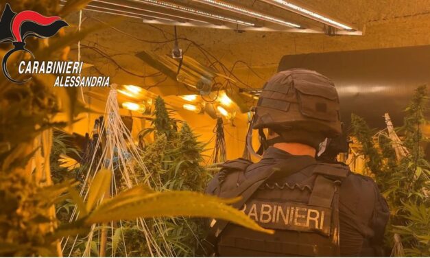 I Carabinieri smantellano una centrale della marijuana nell’Acquese: un arresto e 135 kg di droga. IL VIDEO