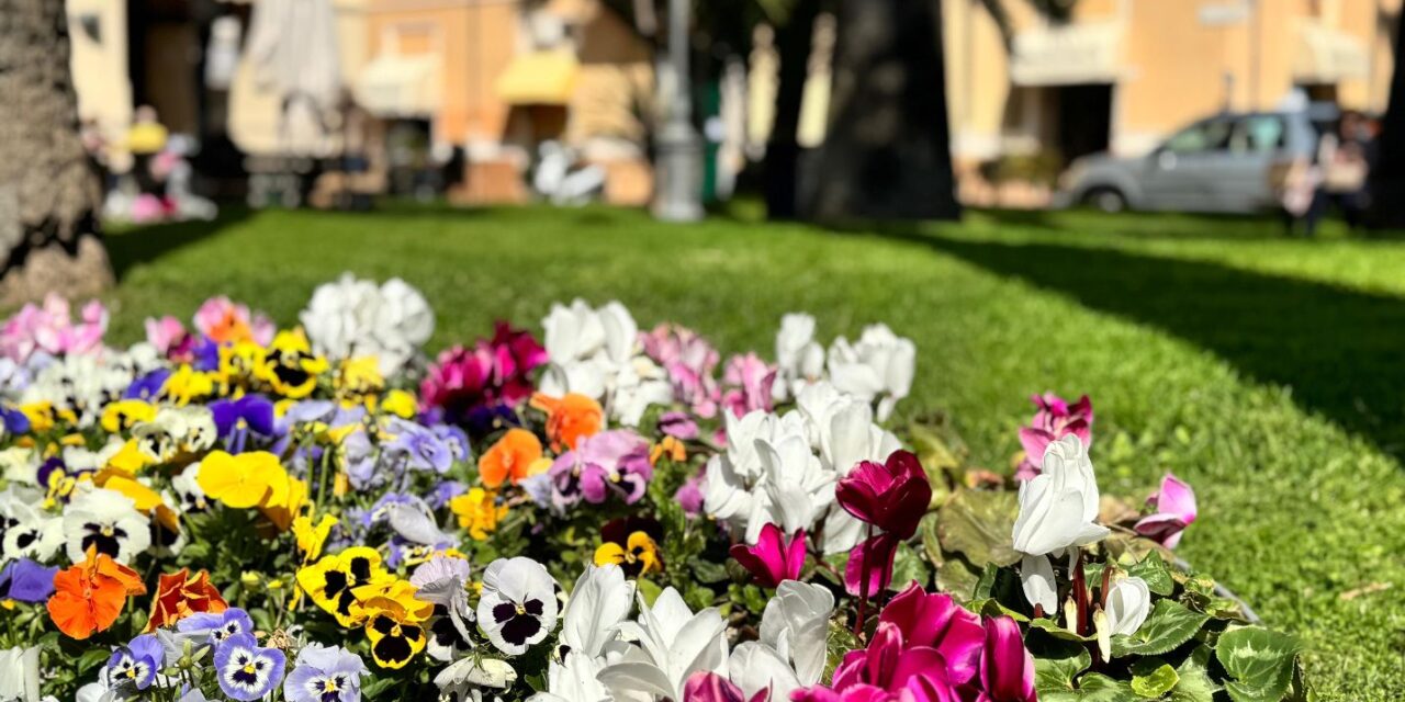 Il Comune verso un nuovo affidamento del verde pubblico a Diano Marina