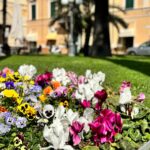 Il Comune verso un nuovo affidamento del verde pubblico a Diano Marina