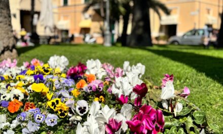 Il Comune verso un nuovo affidamento del verde pubblico a Diano Marina