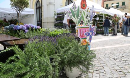 Ad Aromatica in campo una serie di iniziative che coinvolgono vari settori produttivi