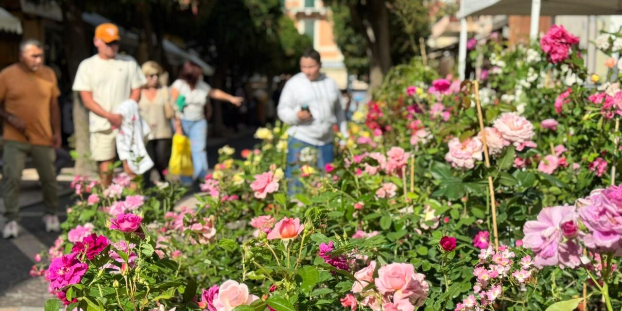 Aromatica a Diano Marina: affluenza di pubblico notevole, il programma di sabato 9