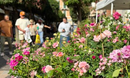 Aromatica a Diano Marina: affluenza di pubblico notevole, il programma di sabato 9