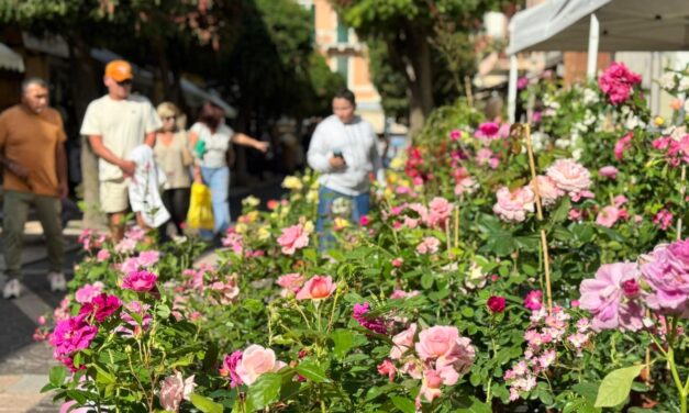 Aromatica a Diano Marina: affluenza di pubblico notevole, il programma di sabato 9