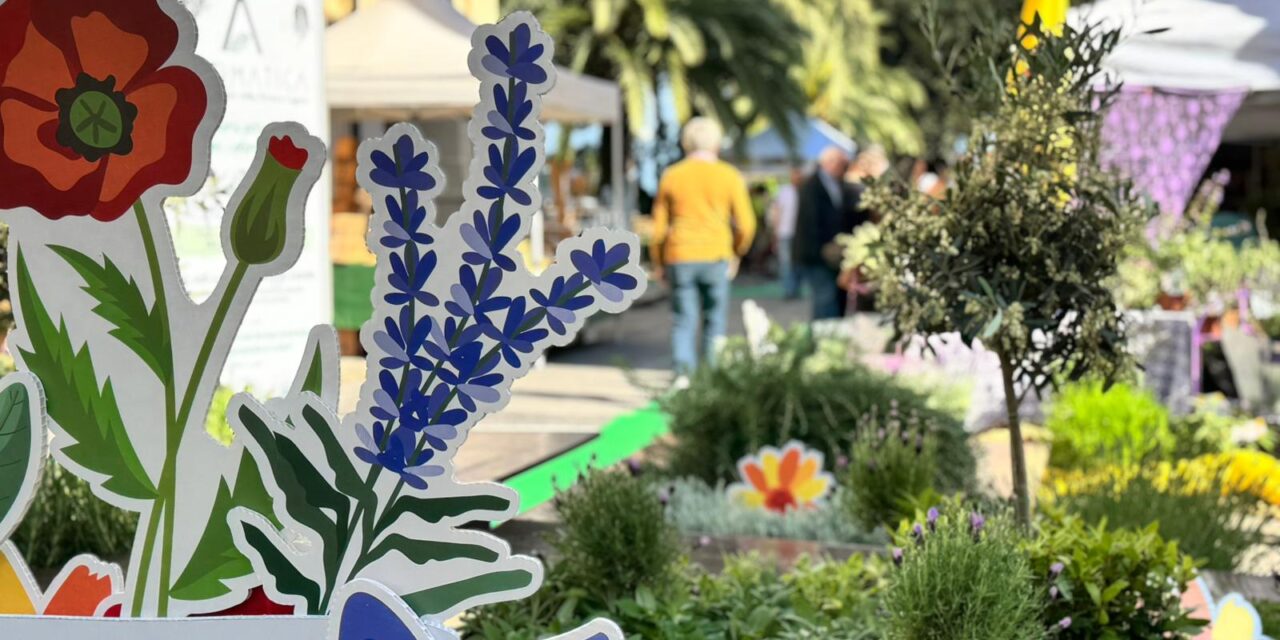 Aromatica: oltre 30.000 visitatori, un giro d’affari di 2,5 milioni di euro, oltre 1,5 milioni di visualizzazioni sui social