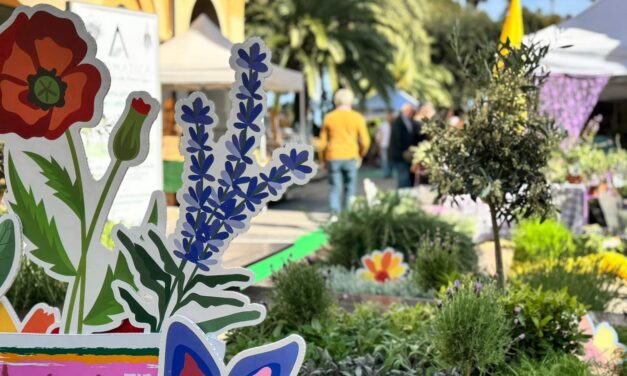 Aromatica: oltre 30.000 visitatori, un giro d’affari di 2,5 milioni di euro, oltre 1,5 milioni di visualizzazioni sui social