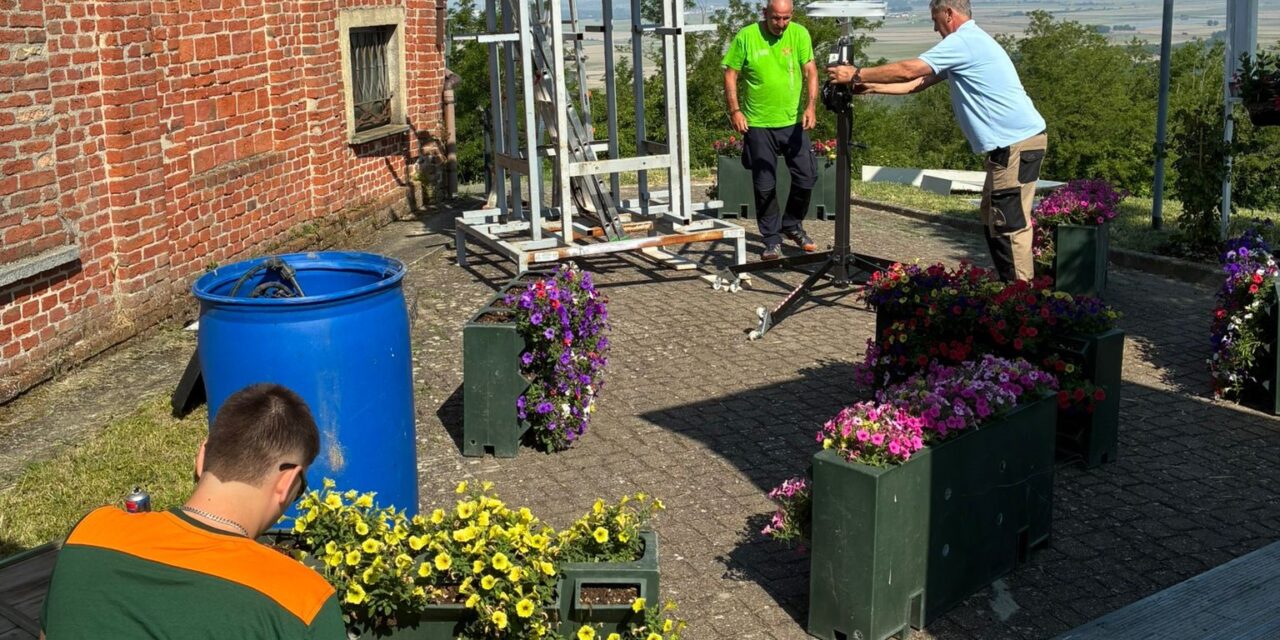 Fiori, biodiversità e lotta alle isole di calore: scatta il progetto di Asproflor in 13 Comuni monferrini