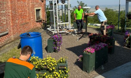 Fiori, biodiversità e lotta alle isole di calore: scatta il progetto di Asproflor in 13 Comuni monferrini
