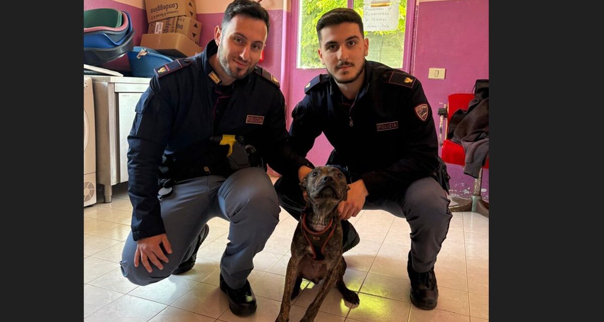 La Polizia di Alessandria salva questo cane in stato di abbandono in casa legato a un termosifone