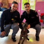 La Polizia di Alessandria salva questo cane in stato di abbandono in casa legato a un termosifone