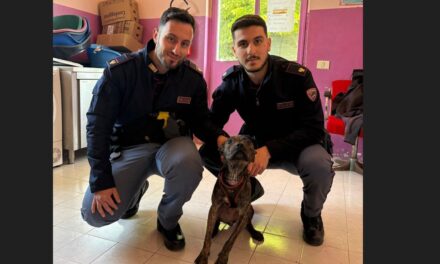 La Polizia di Alessandria salva questo cane in stato di abbandono in casa legato a un termosifone