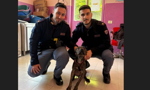 La Polizia di Alessandria salva questo cane in stato di abbandono in casa legato a un termosifone