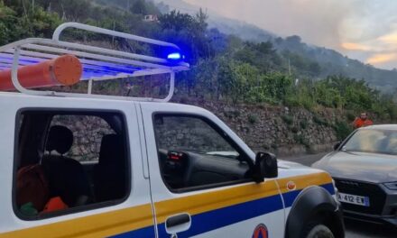Rinnovato il direttivo della Protezione Civile di San Bartolomeo al Mare