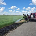 Incendio di sterpaglie a Tortona intervengono i vigili del Fuoco