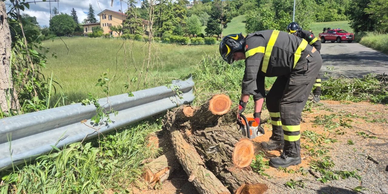 A Villaromagnano i pompieri rimuovo un albero pericolante rischiava di cadere sulla strada