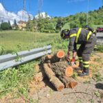 A Villaromagnano i pompieri rimuovo un albero pericolante rischiava di cadere sulla strada