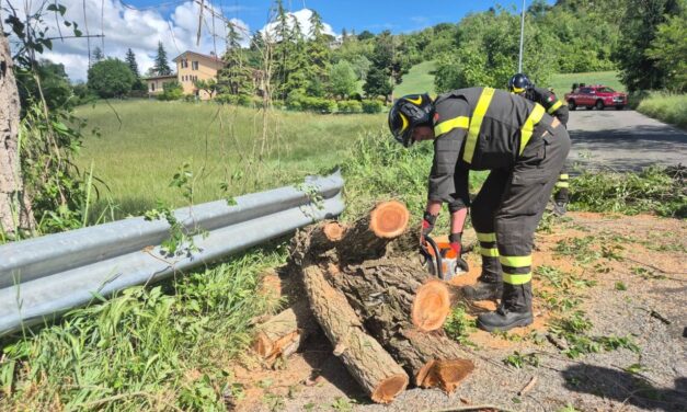 A Villaromagnano i pompieri rimuovo un albero pericolante rischiava di cadere sulla strada