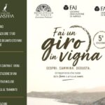 Paesaggio, vino e tramonti sul mare: il FAI Giovani Imperia svela la quinta edizione di “Fai un giro in vigna”